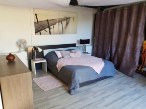 Maison d'une chambre avec jacuzzi jardin clos et wifi a Saint Louis